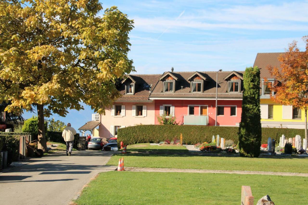 Apartament Les Narcisses Blonay Zewnętrze zdjęcie